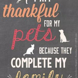 Meet your Posher, Sherry